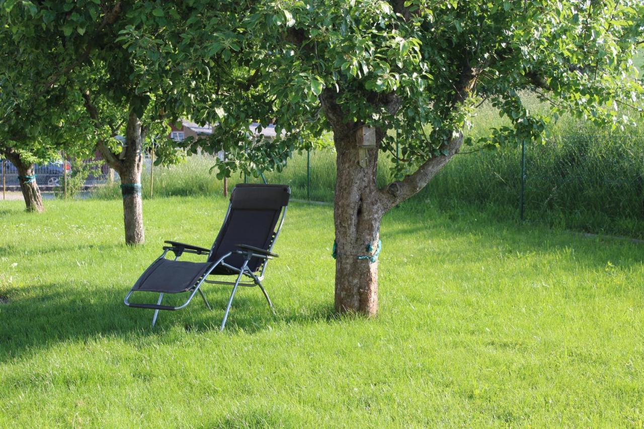 Ferienwohnung Am Kugelbaum Lunzenau Dış mekan fotoğraf